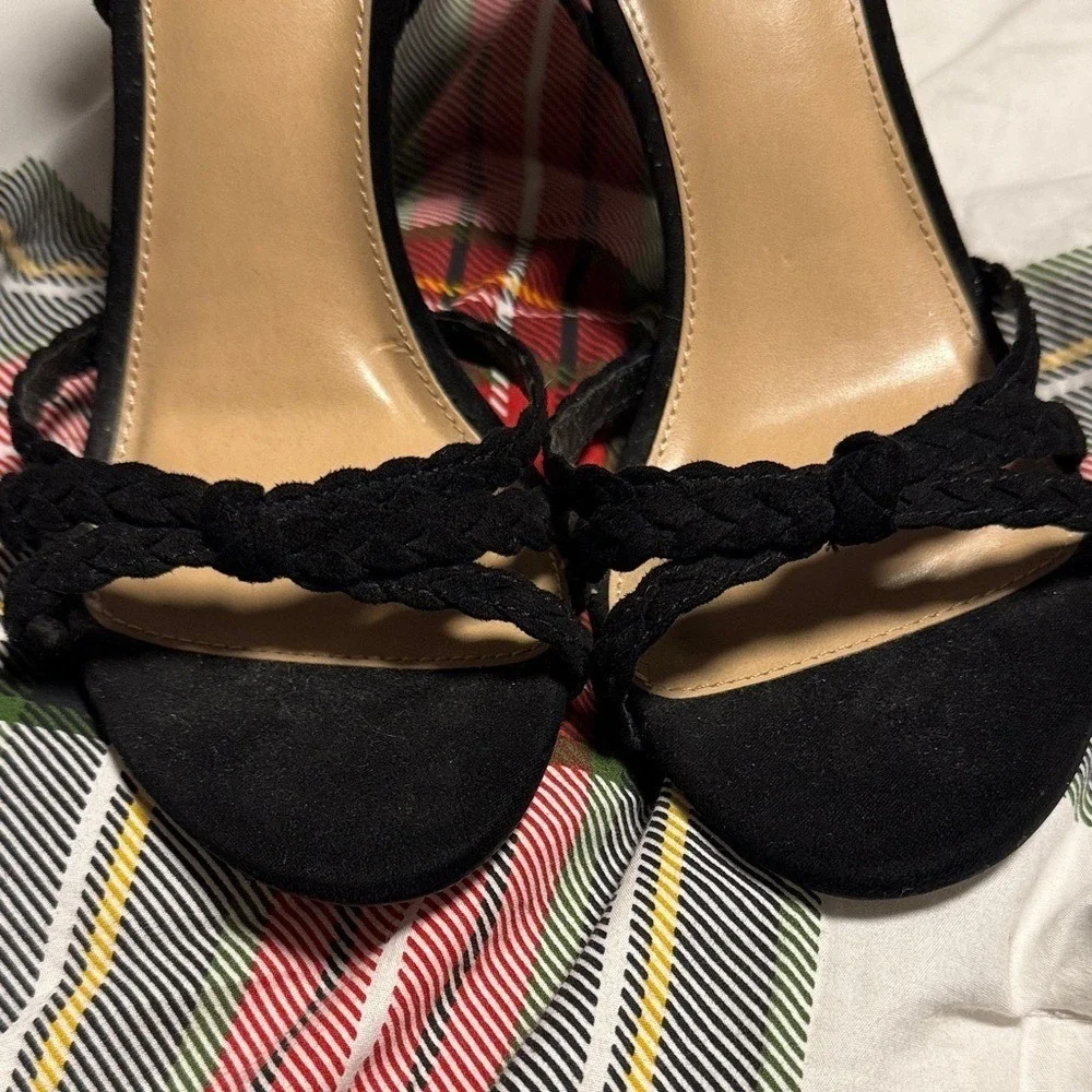 LC Lauren Conrad elevate your